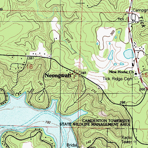 Topographic Map of Neongwah, MO