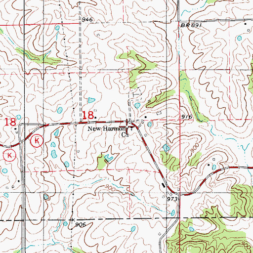 Topographic Map of New Harmony Church, MO