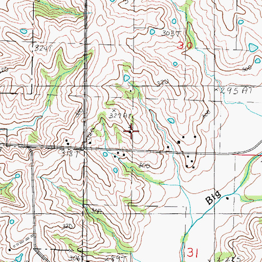 Topographic Map of New Harmony Church, MO