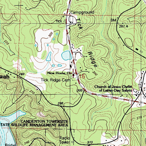 Topographic Map of New Home Church, MO