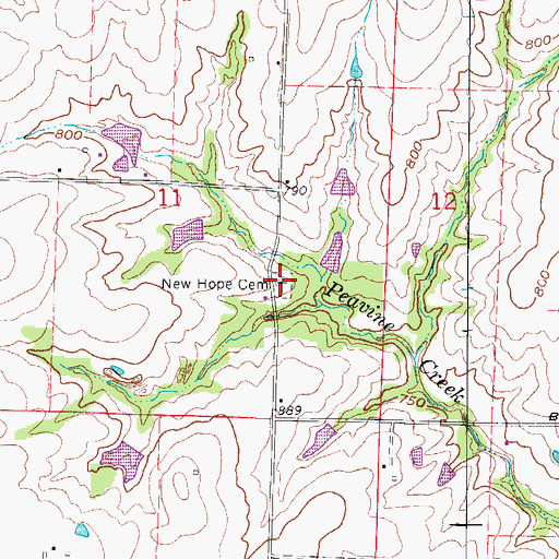 Topographic Map of New Hope Cemetery, MO