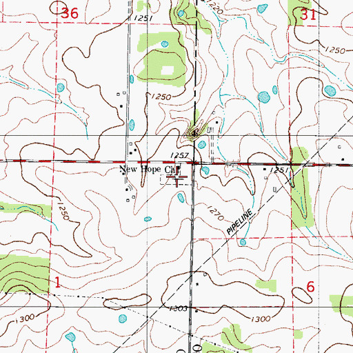 Topographic Map of New Hope Church, MO