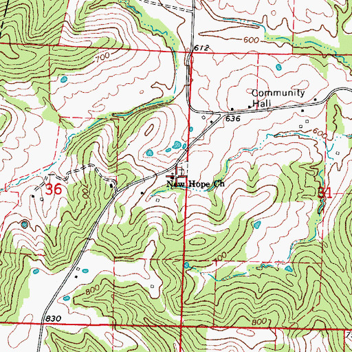 Topographic Map of New Hope Church, MO