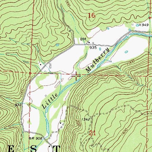 Topographic Map of Lick Branch, AR