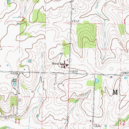 Topographic Map of New Site Church, MO