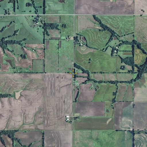 Aerial/Satellite Image of New York School, MO