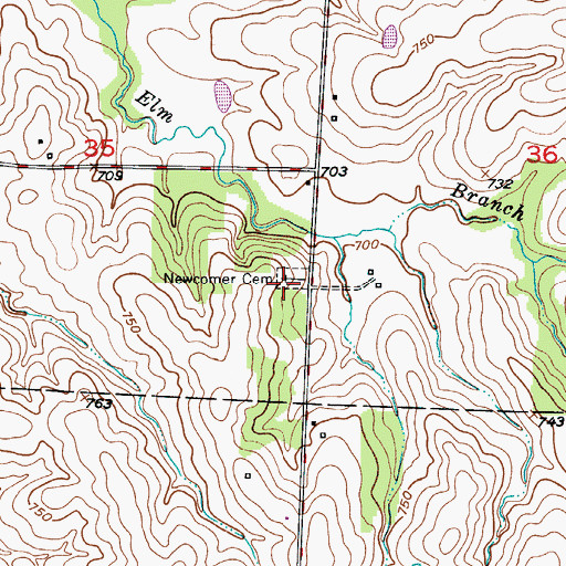 Topographic Map of Newcomer Cemetery, MO