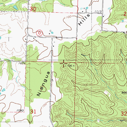 Topographic Map of Niangua Hills, MO