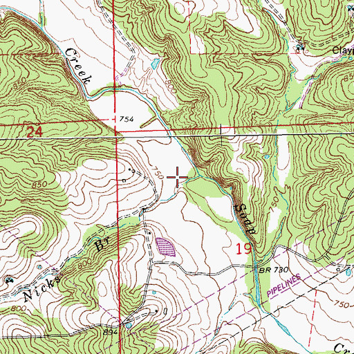 Topographic Map of Nicks Branch, MO