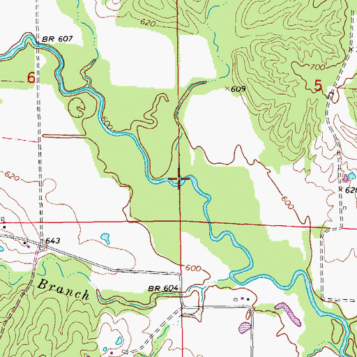 Topographic Map of Nixon Branch, MO
