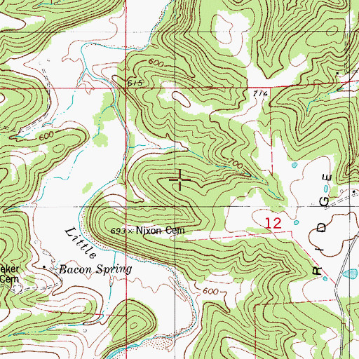 Topographic Map of Nixon Cemetery, MO
