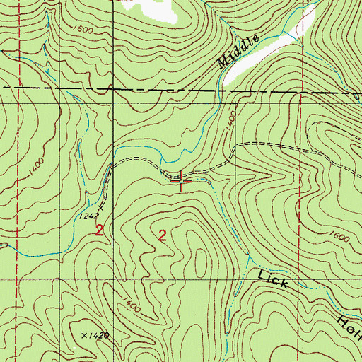 Topographic Map of Lick Hollow, AR