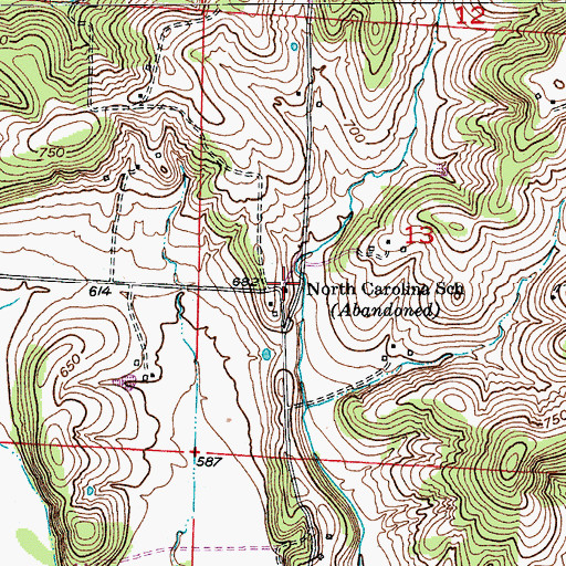 Topographic Map of North Carolina School, MO