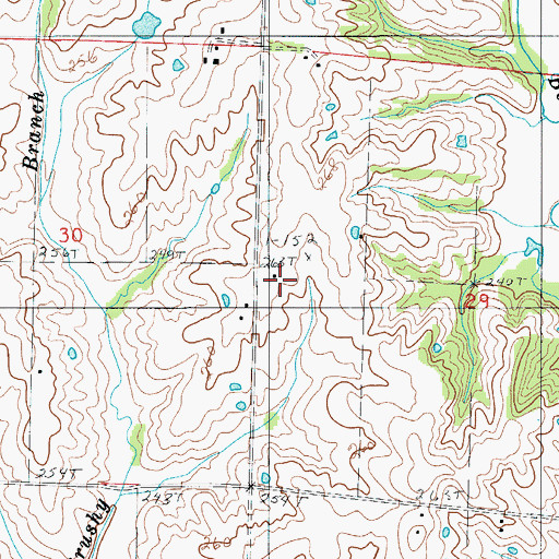 Topographic Map of North Eagle School, MO