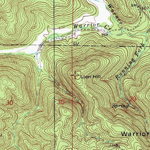 Topographic Map of Lion Hill, AR