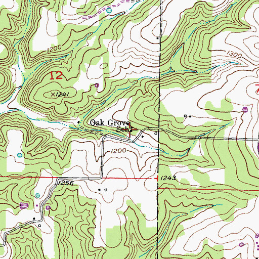 Topographic Map of Oak Grove School, MO