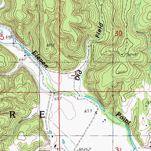 Topographic Map of Old Field Hollow, MO
