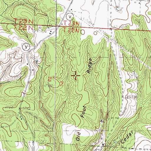 Topographic Map of Old Foot Ridge, MO