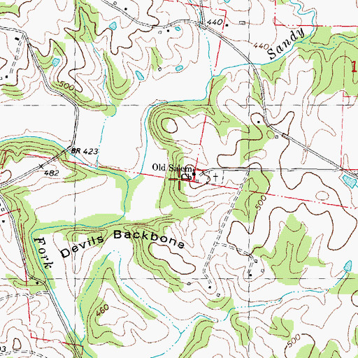Topographic Map of Old Salem Church, MO