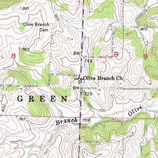 Topographic Map of Olive Branch Church, MO