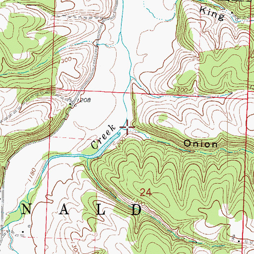 Topographic Map of Onion Hollow, MO