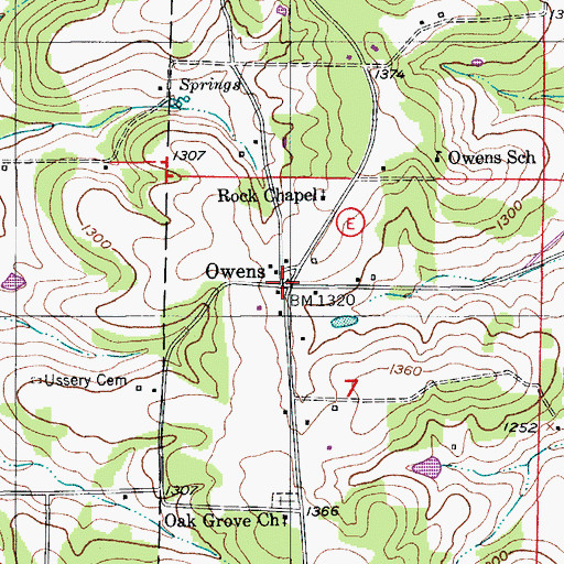 Topographic Map of Owens, MO