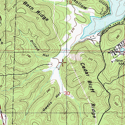 Topographic Map of Owens Hollow, MO