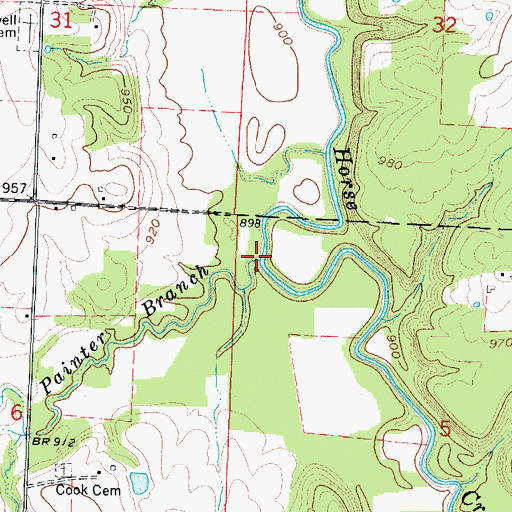 Topographic Map of Painter Branch, MO