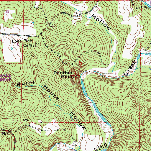 Topographic Map of Panther Bluff, MO