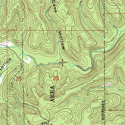 Topographic Map of Panther Cave Hollow, MO