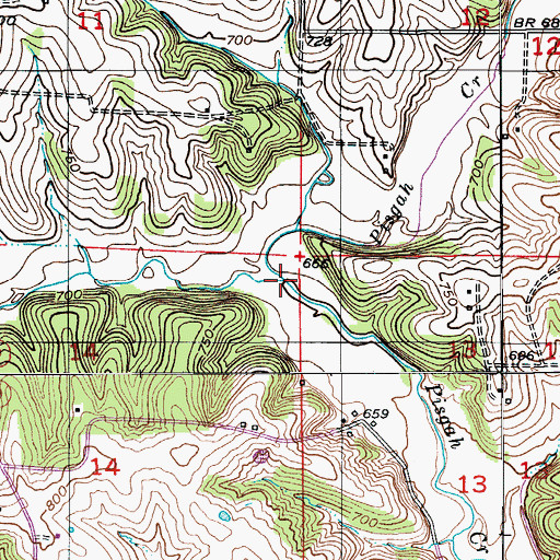 Topographic Map of Panther Creek, MO
