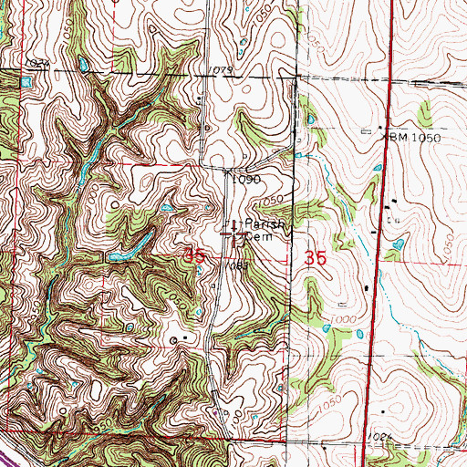 Topographic Map of Parish Cemetery, MO