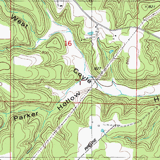 Topographic Map of Parker Hollow, MO
