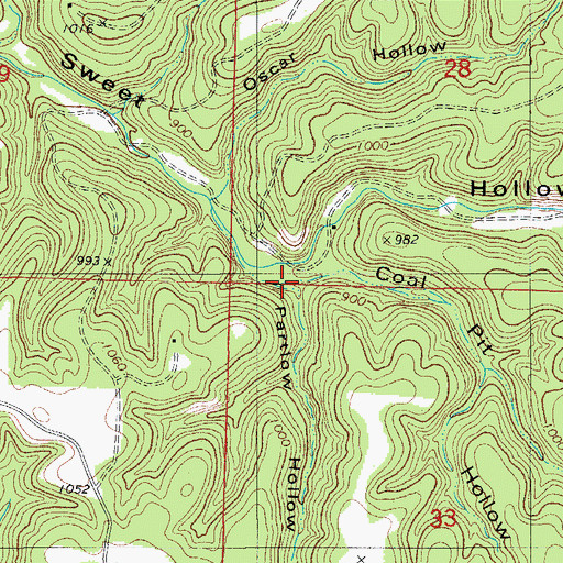 Topographic Map of Partlow Hollow, MO