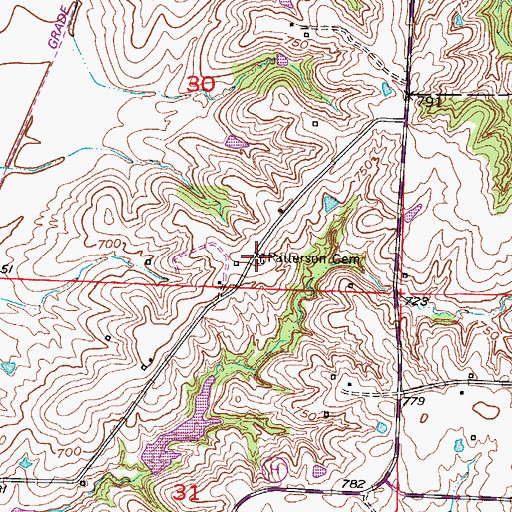 Topographic Map of Patterson Cemetery, MO