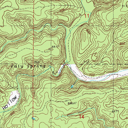 Topographic Map of Paty Hollow, MO