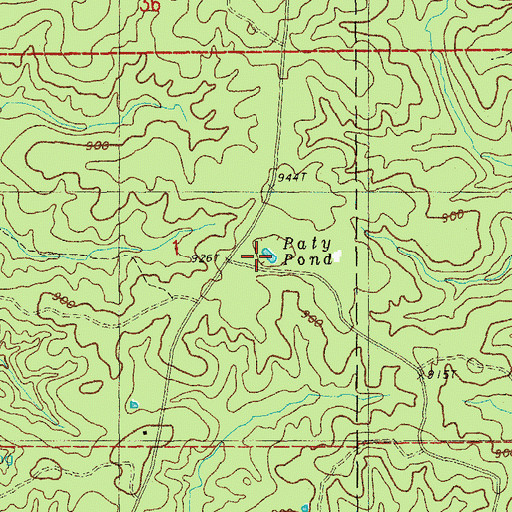 Topographic Map of Paty Pond, MO