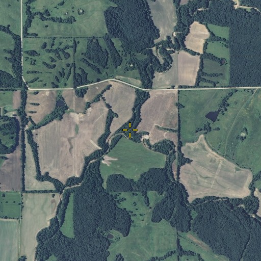 Aerial/Satellite Image of Paw Paw Creek, MO