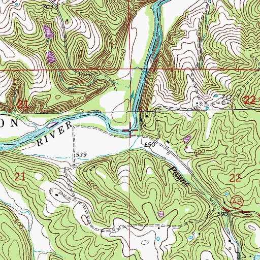 Topographic Map of Payne Branch, MO