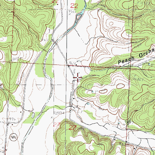 Topographic Map of Peach Orchard Hollow, MO