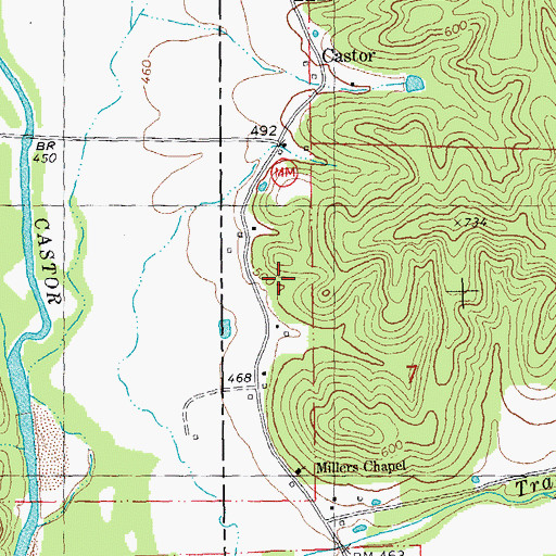 Topographic Map of Peal School, MO