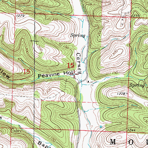 Topographic Map of Peavine Hollow, MO