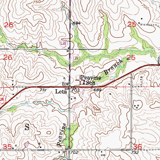 Topographic Map of Peavine School, MO