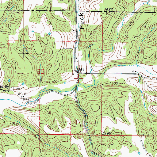 Topographic Map of Peck Hollow, MO
