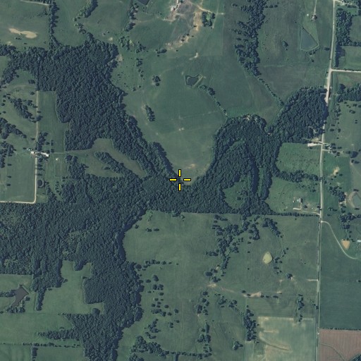 Aerial/Satellite Image of Pedee Branch, MO