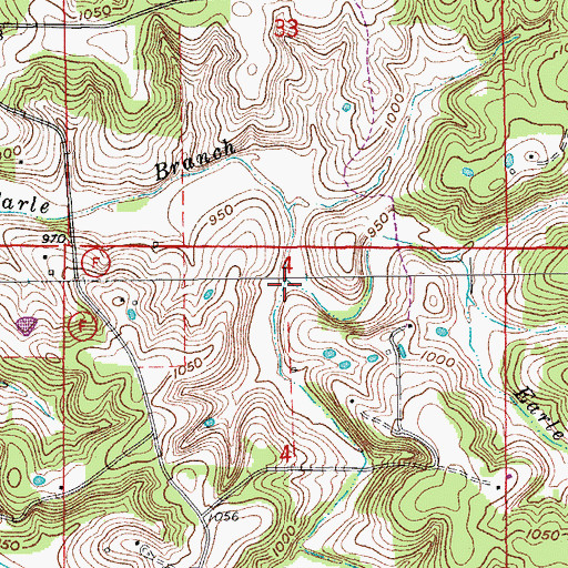 Topographic Map of Perry Branch, MO