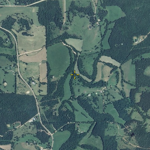 Aerial/Satellite Image of Perry Branch, MO