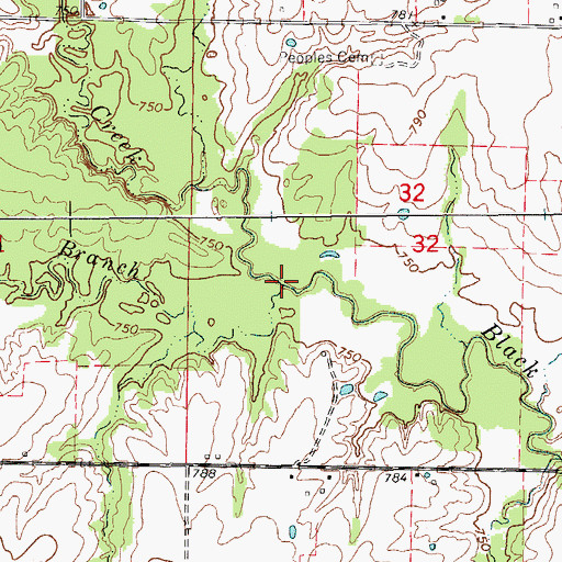 Topographic Map of Perry Branch, MO