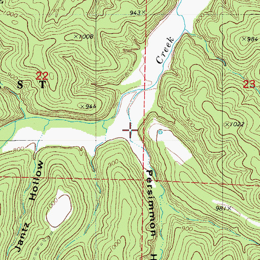 Topographic Map of Persimmon Hollow, MO