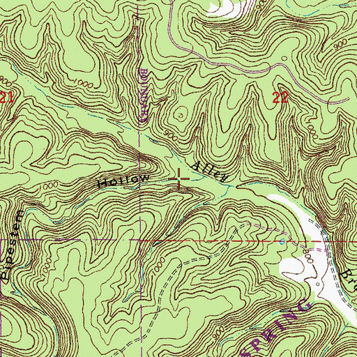 Topographic Map of Peter Cave Hollow, MO